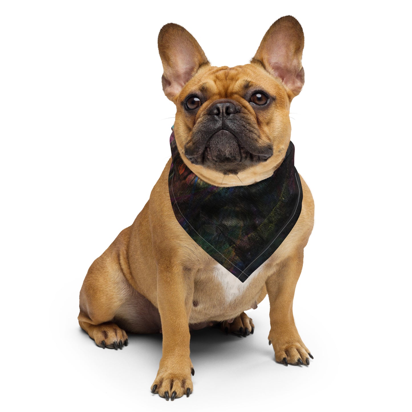 Hipyfi Chromatic Dreams Abstract Bandana: Vibrant layered brushstrokes on a unisex, eco-friendly recycled polyester accessory for festivals, daily wear, or pets. dog front