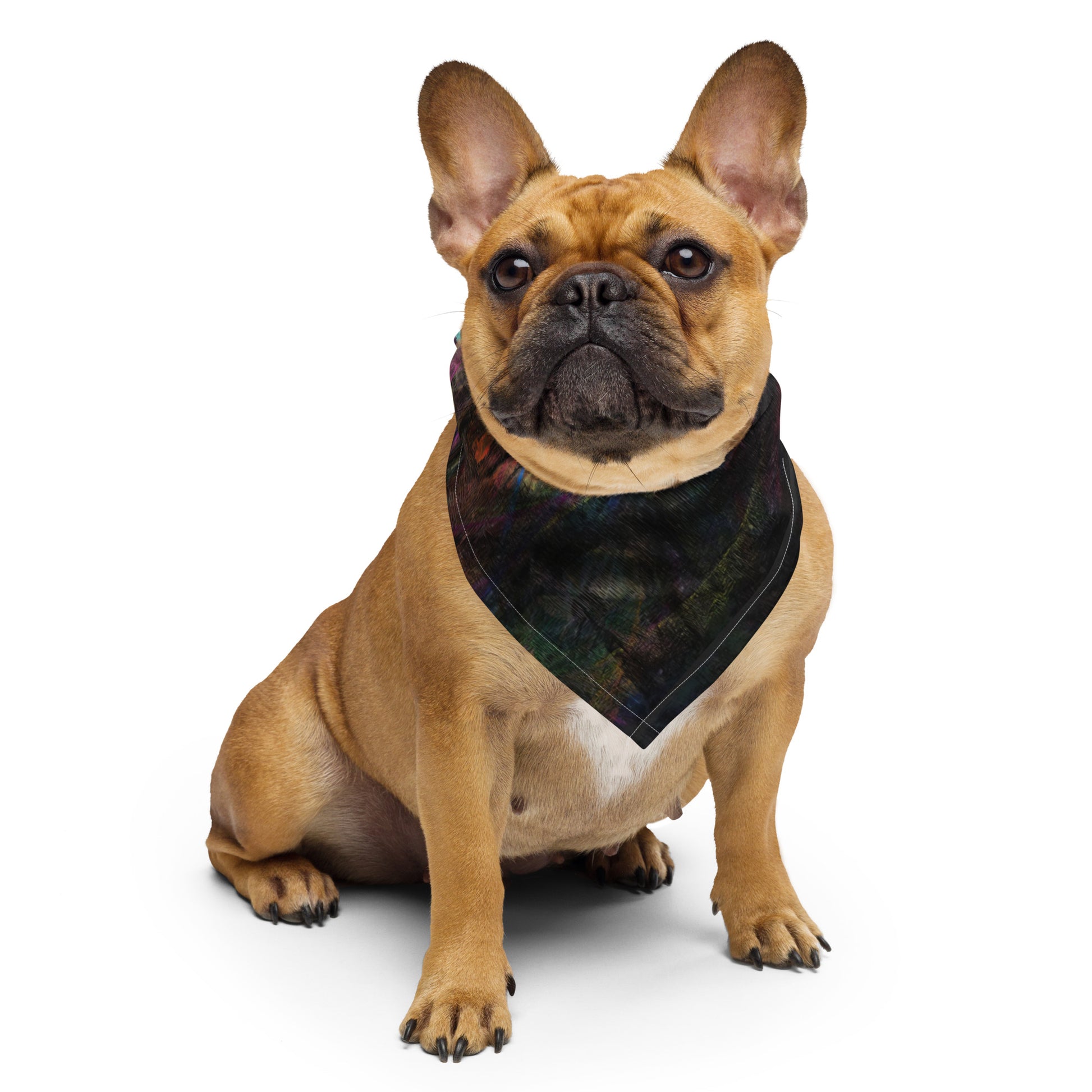 Hipyfi Chromatic Dreams Abstract Bandana: Vibrant layered brushstrokes on a unisex, eco-friendly recycled polyester accessory for festivals, daily wear, or pets. dog front