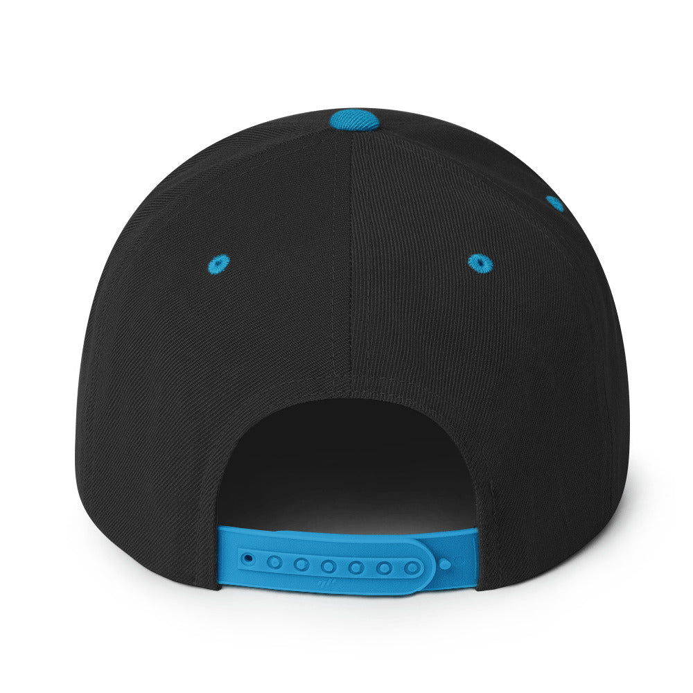 Hipyfi Classic Snapback Hat in Black and Teal with Embroidered Logo, Flat Brim, and Green Undervisor – Vintage Streetwear Cap Back-3